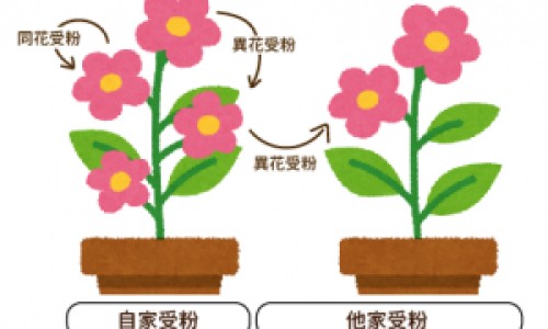 羊奶与羊奶粉区别是什么-羊奶与羊奶粉区别网 :分享羊奶与羊奶粉区别是什么-羊奶与驼奶的区别及功效知识