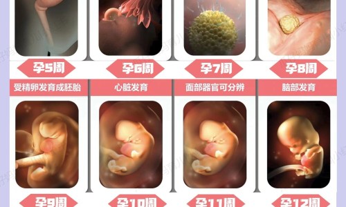 羊奶和羊奶粉哪个比较好-羊奶与羊奶粉区别网 :分享羊奶与羊奶粉区别是什么-羊奶与驼奶的区别及功效知识